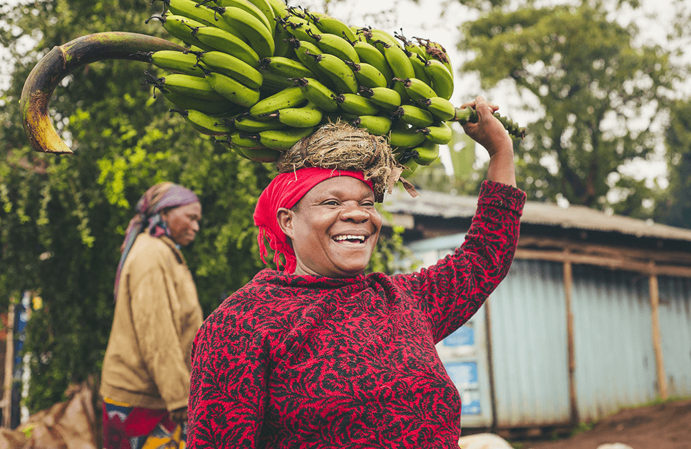 Five curabitur lobortis est at odio imperdiet. Vivamus